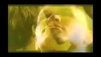 Wwe Randy Orton - Voices Theme Song