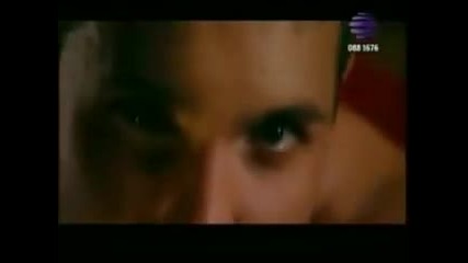 Kamelia - Kaji mi kak 