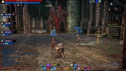 Tera - Malgarios Boss Battle Gameplay