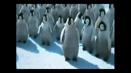 Happy Feet - White Tee 