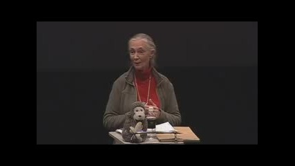 Jane Goodall What separates us from the apes 