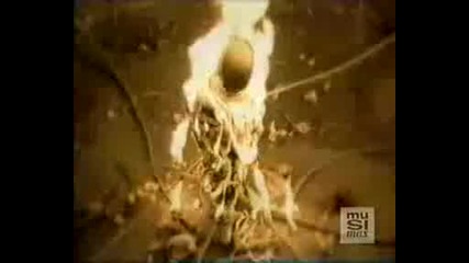 Celine Dion - Pour que tu maimes encore