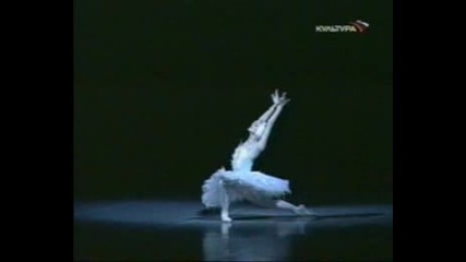 Dying Swan - Lopatkina