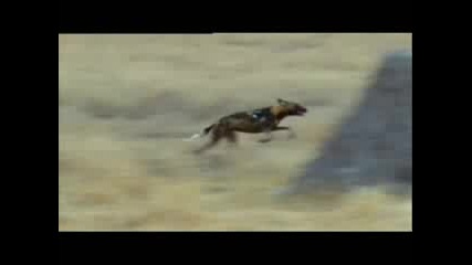 Planet Earth - The Best Is Yet To Come *save Our Planet*