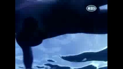 ГотинаГръцка  Песничка