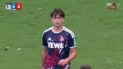 Hamburger SV vs. 1. FC Koln - Game Highlights