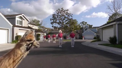 The Neighbors S01e03 - Things Just Got Real
