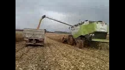 Claas Lexion 550 a Tatra 815 pri zbere kukurice a vys
