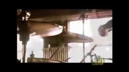 Passenger - In Reverse