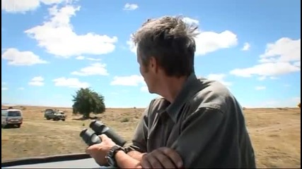 Cheetah cubs playing - Big Cat Diary - Bbc 