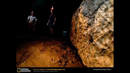 Обиколка на Света с (national Geographic)