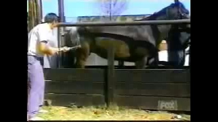 смях-до-сълзи