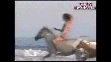 Смях С Животни И Хора