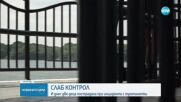 Осем души пострадаха при инциденти с тротинетки за седмица