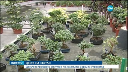 Ще скочат ли цените на букетите за празника?