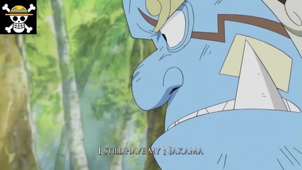 One Piece Amv - Dreams of Freedom (мечти за Свобода)