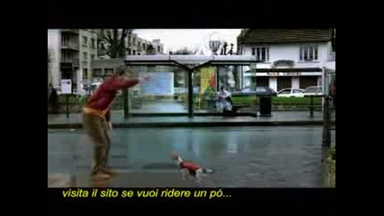 Umbro Dog 
