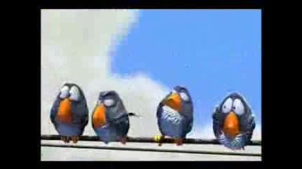 Very Funny Birds Animation