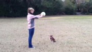 Куче - волейболист
