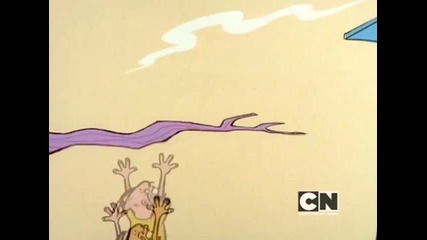 Fool on the Ed Ed Edd & Eddy Cartoon Network
