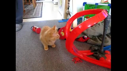 Игра за котката