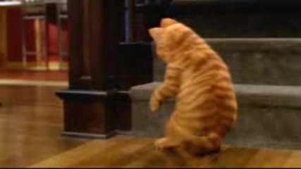 Garfield 1 Trailer