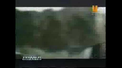 Rbd en Pj,  se van de fiesta,  ensenan el bus