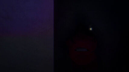 Ninja Collection - 10 [bg subs]