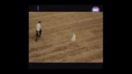 Nino - Theos /превод/