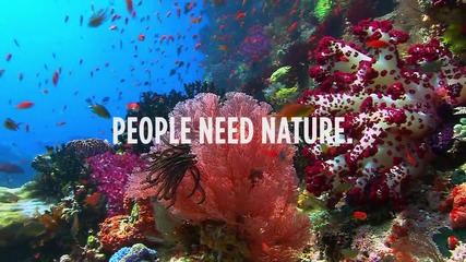 Природата говори - Иън Сомърхолдър e Коралов риф