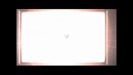Logo Animation Tatamia 