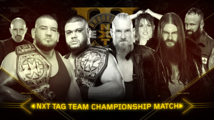Relive the chaotic rivalry between SAnitY and The Authors of Pain: WWE NXT, Aug. 16, 2017