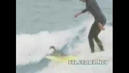Сърфиране С Патица