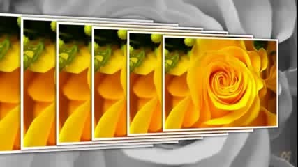 Of The Yellow Rose (relaxing music )