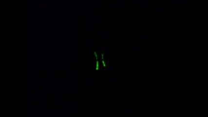 Led