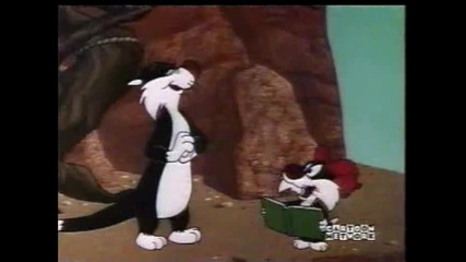 Sylvester - Cats Paw 