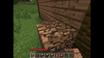 #1 minecraft_layout