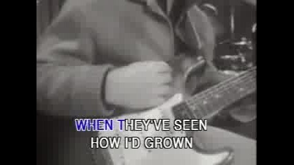 The Beach Boys - Cotton Fields