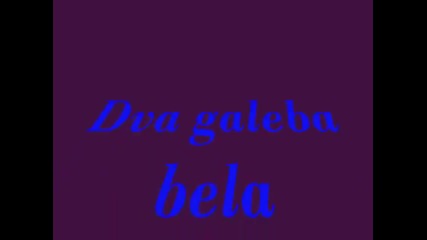 Saban Saulic-dva gylyba beli