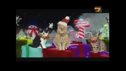 Пеещите котки с нoв 3 D албум 