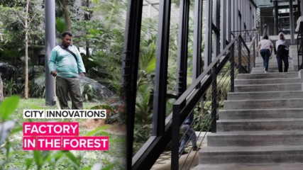 City Innovations: This sustainable factory exists within a forest