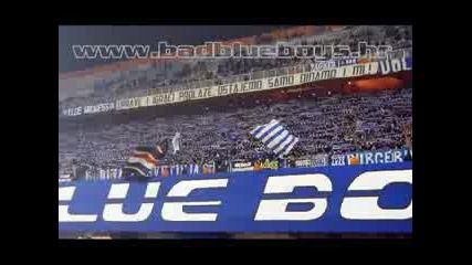 Bad Blue Boys