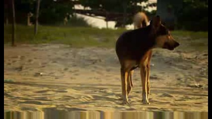 Top Gear Season 12 Episode 08 - Part 7