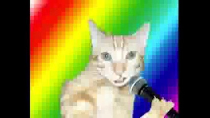 Луда котка пее