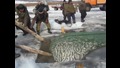 Ето как се лови риба в Русия