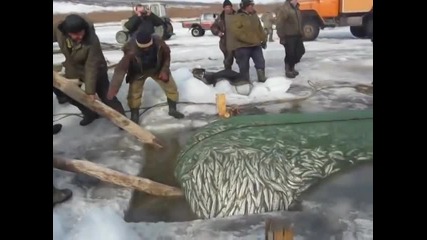 Ето как се лови риба в Русия