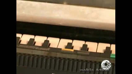 Видра свири на пиано