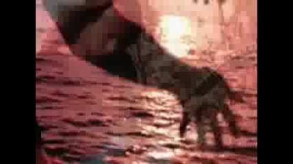 Obituary - Dont Care