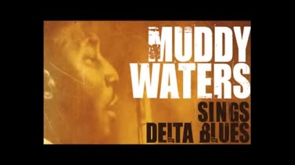 Muddy Waters - Best Of Muddy Waters - Vintage Delta Blues