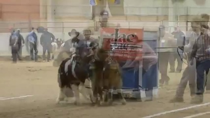 Mini Horse Pull [2013 Pa Farm Show]